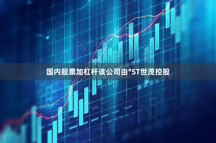 国内股票加杠杆该公司由*ST世茂控股