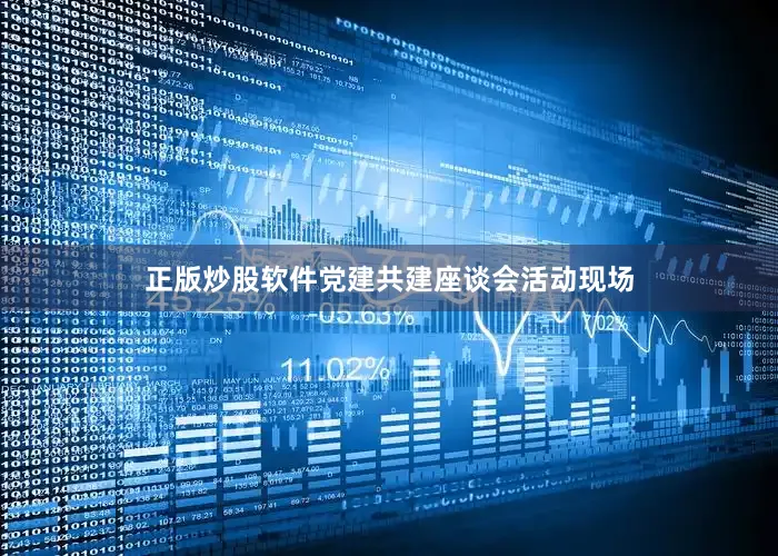 正版炒股软件党建共建座谈会活动现场